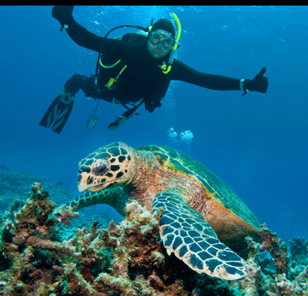 A scuba diver posing with a turtle in the Great Barrier Reef